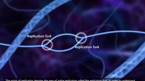 Origin of replication