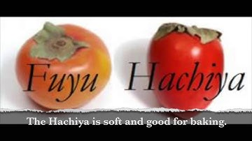 November 2014 Harvest of the Month: Persimmons