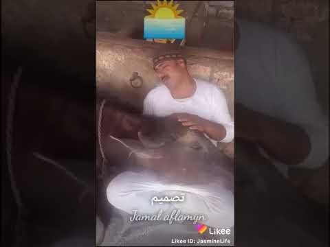 ٢٣ أغسطس ٢٠٢٠