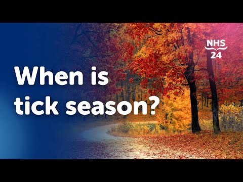 Video: Tick activity. Tick season