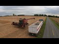 CASE 2166 Combine - 1020 Grain Head - Soybeans Looked Great - Lenawee - Harvest 2020 GoPro Hero 9 5k