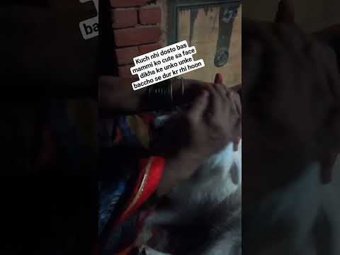 Jimmy wants attention