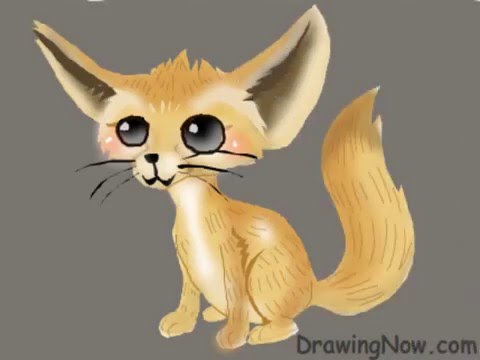 How to Draw A Fennec Fox - YouTube