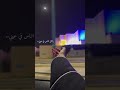 يا ساكن بين ضلعيني 