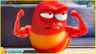 LARVA Season 3 Episode 288 ~ 390  New Version Larva | Comics | Mini Series from Animation LARVA