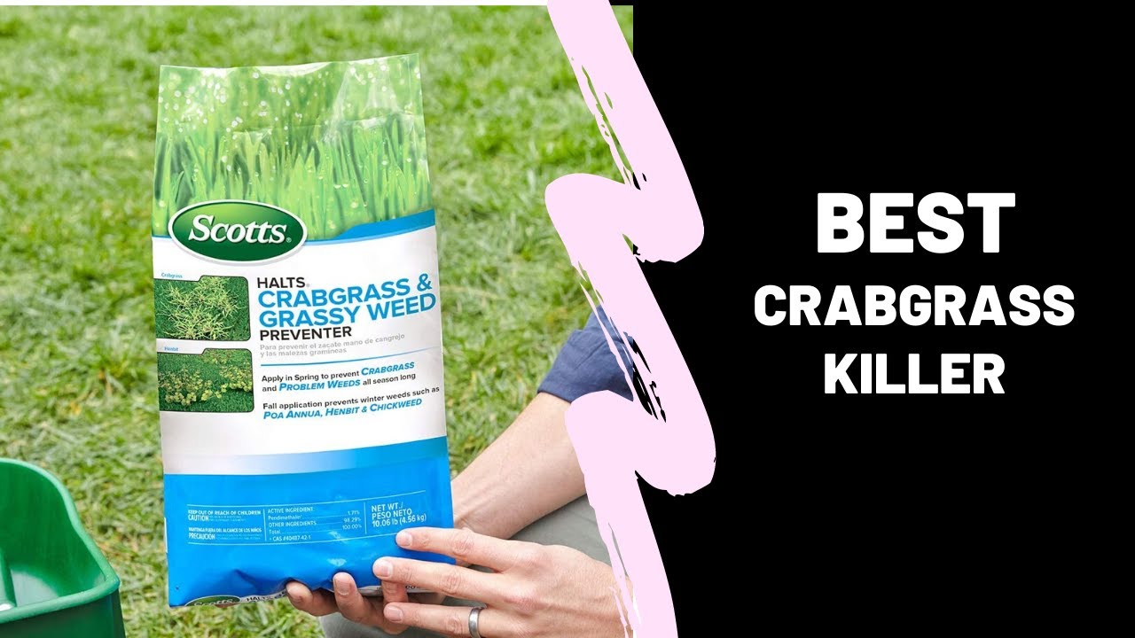 Best Crabgrass Killer [Top 5 Reviews] YouTube