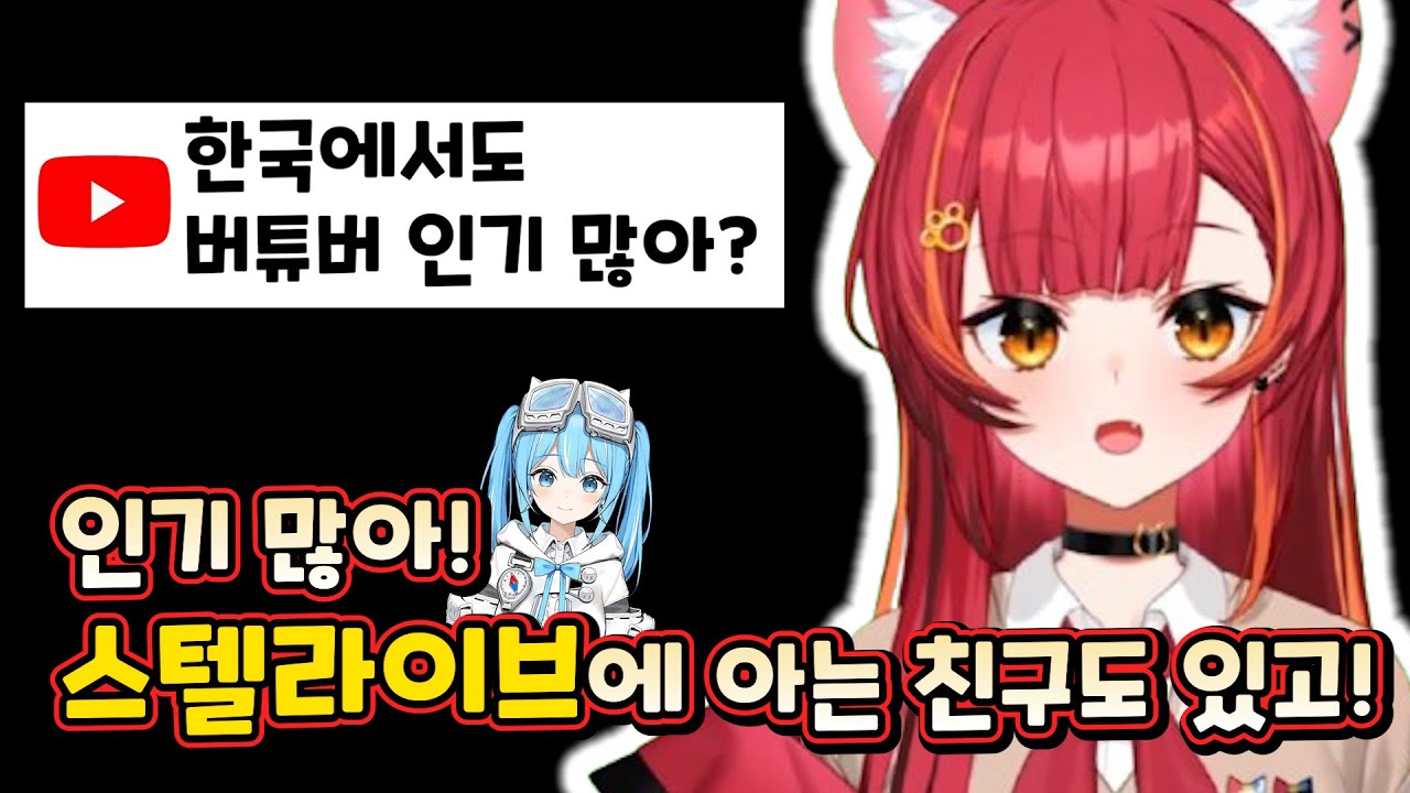 한국에 관하여 이것저것 알려주는 네코타츠상 [브이스포/네코타 츠나]