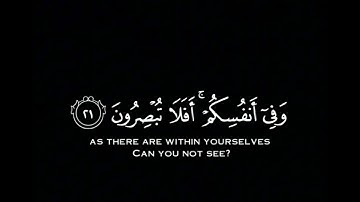 وَفِي الْأَرْضِ ءَايَتُ لِلْمُوقِنِينَ| عبد الباسط عبد الصمد كروما شاشة سوداء قرآن كريم #كرومات_قرآن