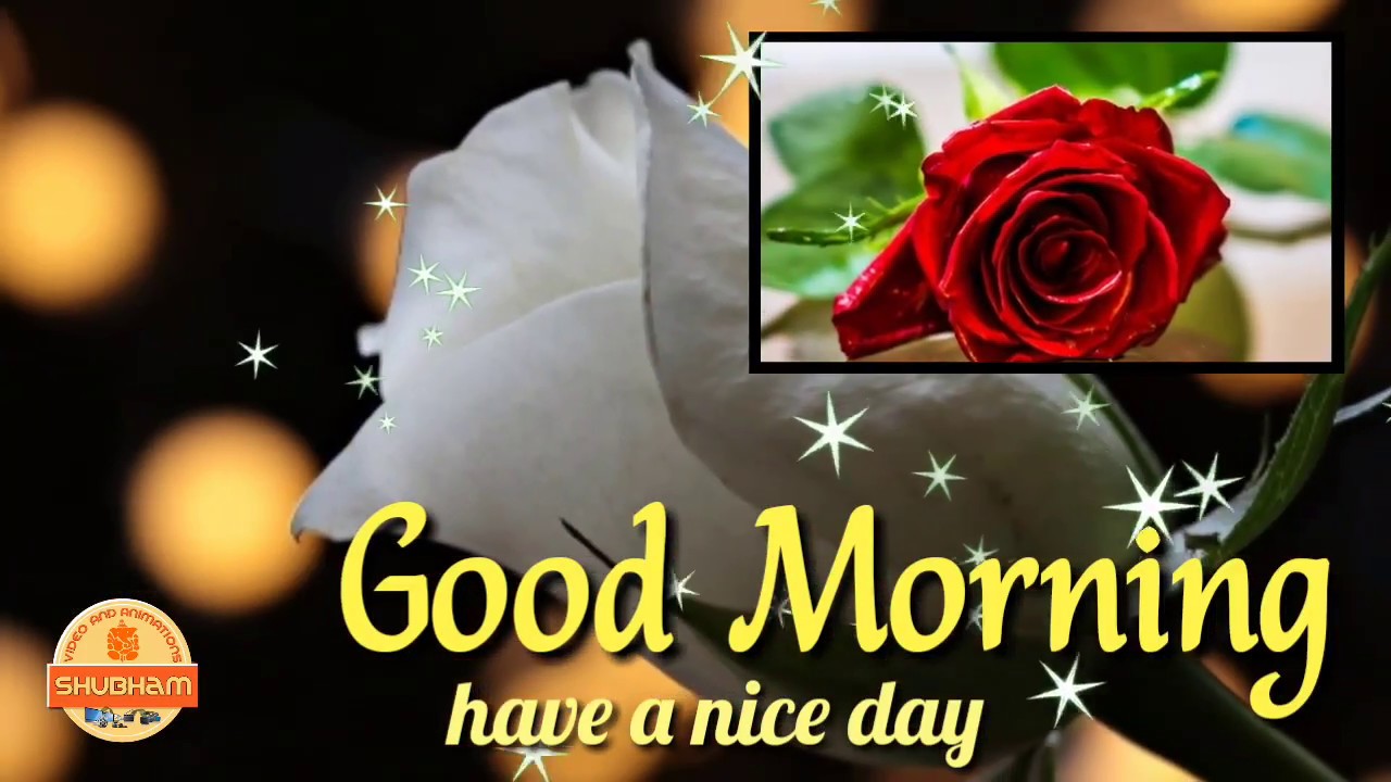 Good Morning Video Songs download Whatsapp Status Videos YouTube