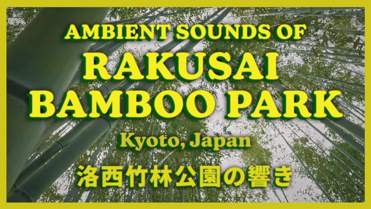 Relaxing Bamboo Forest Ambience - Kyoto, Japan (Shot on Sony A6700