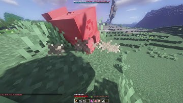 How to use Coreprotect - Animals