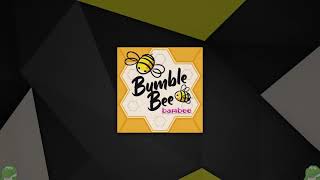 [StepManiaX] Bumble Bee (HARD / WILD)