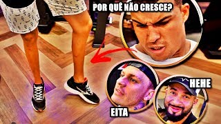 Tornozelo no e panturrilha cavalo charley