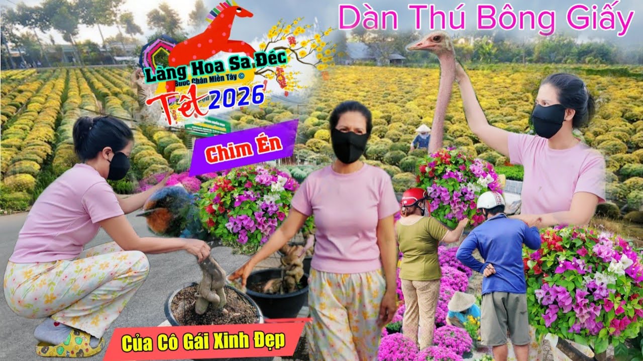 QUẢ KHỦNG làng hoa sa đéc 2026 cô gái xinh đẹp tạo thú từ bông giấy bán tết bính ngọ