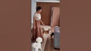 Cewek Cantik Piara Banyak Anjing