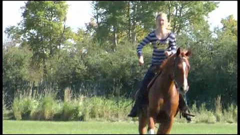 My Horse and my saddle - Susanna Heystek met... Ou...