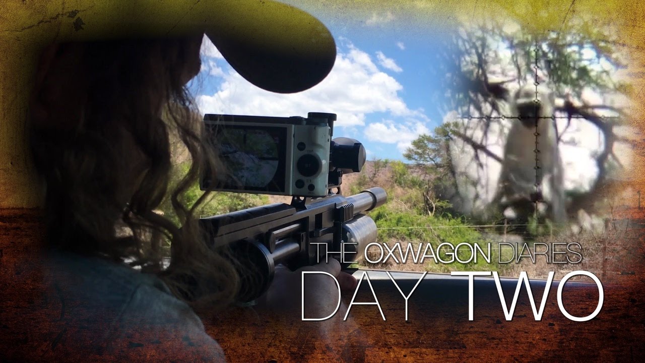 A Day of Vervet Varminting | The Oxwagon Diaries - Day 2