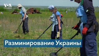 Разминирование Украины: репортаж из Николаевской области
