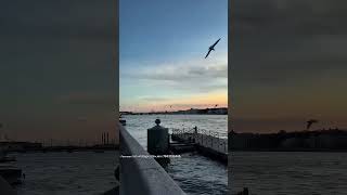 ♥️Санкт-Петербург♥️