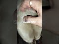 Jimmy#mist #explore #viral #gaming