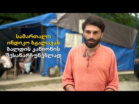 სამართალი ინდიკო ბჟალავას