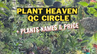 PLANT SHOPPING IN QC CIRCLE | With Plant Names &amp; Price 🍀