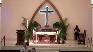 Fifth Sunday of Easter ~ Misa en Bilingue ~ (5/3/2026) ~ Life Teen