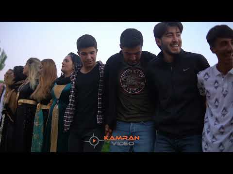 Kurdish Wedding l Kayacı Ailesinin Düğünü l Yüksekova Düğünleri