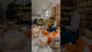 sharing donk suka duka ternak jangkrik ala kalian bolo? #ternakjangkrik #telurjangkrik