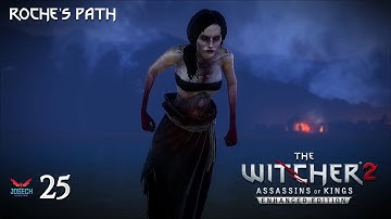 The Witcher 2 [Roche