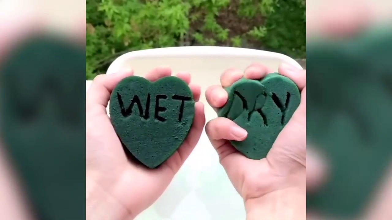 Wet Floral Foam VS Dry Floral Foam Satisfying ASMR Video YouTube