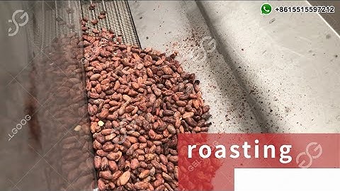 Cocoa Processing Machinery, Full Plant for Cocoa Powder Production