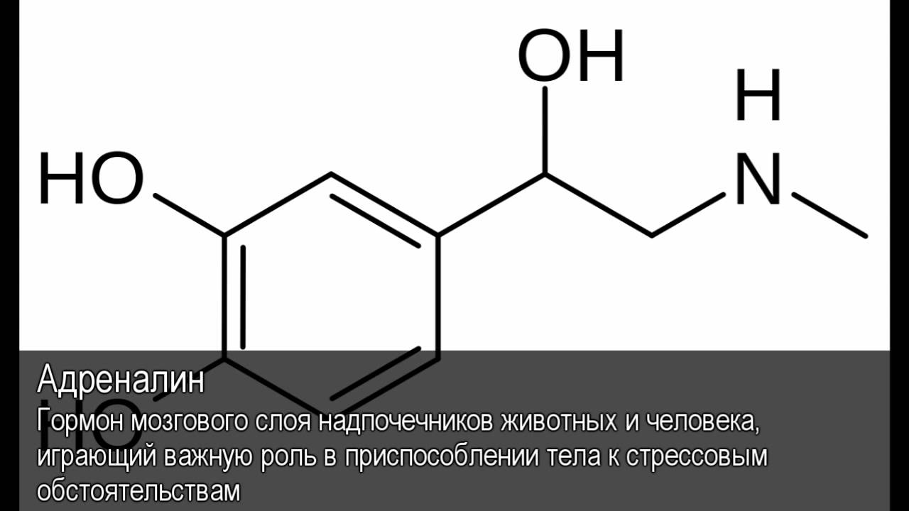 Фермент адреналина