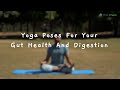 Guided yoga for gut health and digestion guidedyoga yogaforbeginners