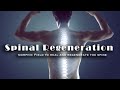 Spinal regeneration morphic field to heal the entire spine including herniated discs