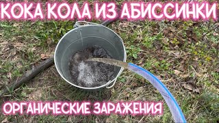 БИОГЕННЫЕ ЗАРАЖЕНИЯ АБИССИНСКОЙ СКВАЖИНЫ. ВСЕ ЖЕ ЛУЧШЕ АРТЕЗИАНКИ