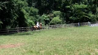 Seraph the Saddlebred & Brandon Hofherr 20100523.MOV