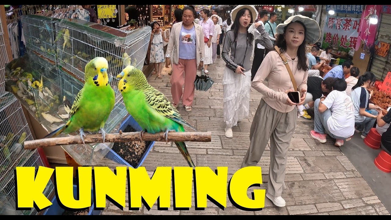 🇨🇳 Kunming, China: Bird Markets on Tweet Street