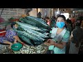 Market show, Amazing Crispy Sword Fish recipe - Buy sword fish for today's cooking, Fish eating