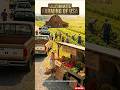 A Day in USA Countryside Village 🌾 #shorts #trending #viral