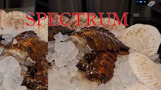 The Gold Lounge_The Atrium Lounge_Spectrum Buffet #Fairmont Ambassador #seoul #korea tour #hotel