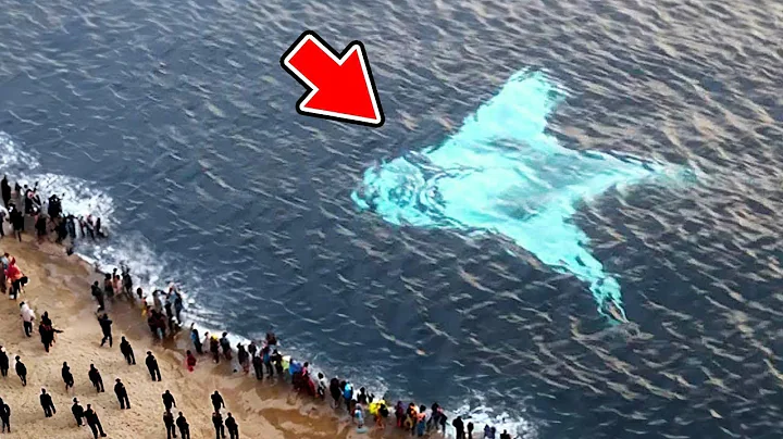 Incredible Moments Caught on Camera | Best of 2025 #53