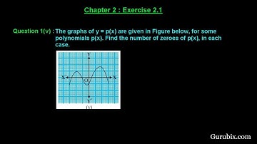 Ex 2.1 : Q.1(v) : The graphs of y = p(x) are given to find ...Ch 2 | Math for Class X CBSE