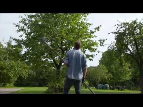 Video: Electric Lopper: How To Choose A Long-handled Garden Chain Lopper For Pruning Trees? Features Of Bosch Models