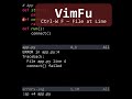 VimFu — Ctrl-W F Split File at Line