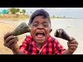    cone snail hunting and cooking with ungal kuttipuli