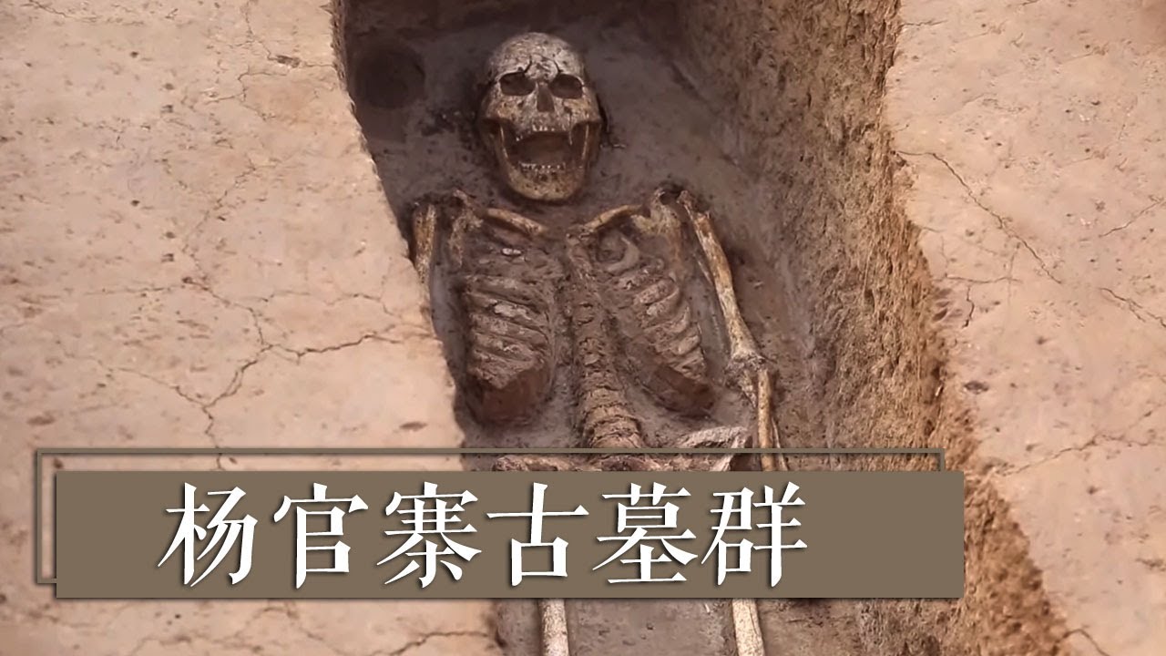 墓主人究竟是谁？手骨又为什么会发生移位？《2018考古进行时》 第三季 杨官寨古墓群 | 中华国宝