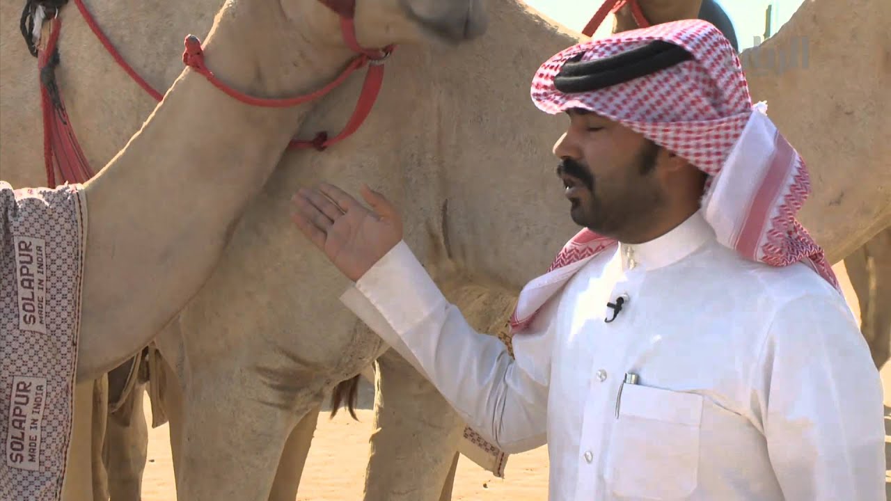 أخبار الريس - الحلقة الثانية - 01-08-2015