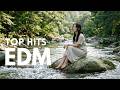 INSANE RELAX ENERGY EDM Mix 2026 Popular Songs | Chill Focus Study Playlist