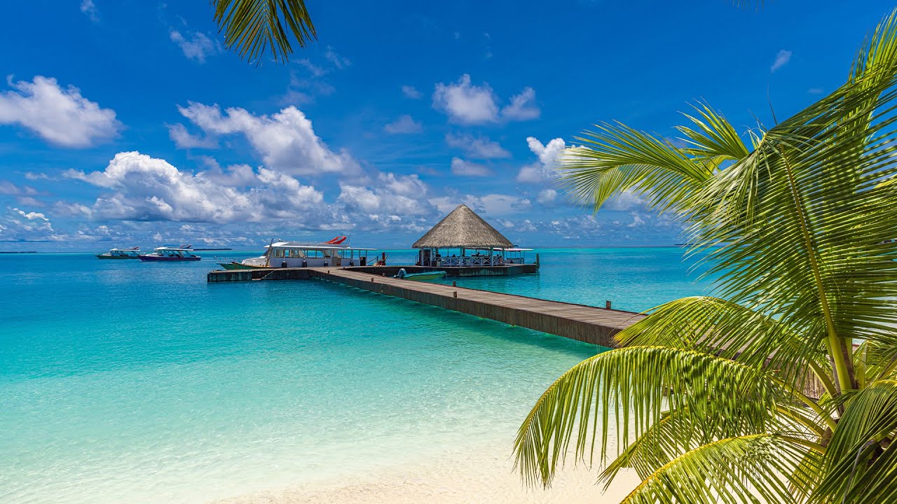 Tropical Morning Jazz on Summer Beach Ambience ~ Sweet Bossa Nova Music & Ocean Sounds for Relaxing